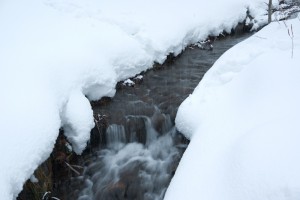 冬の小川