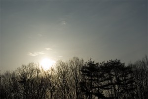 たんぽぽ村の空